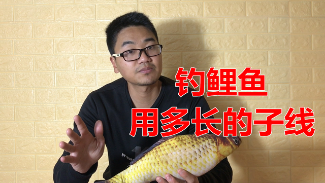 青鱼|钓鲤鱼用多长的子线？实钓多年得出结论，新手一看就懂