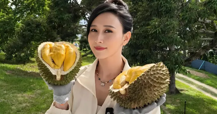 胡静家榴莲大丰收！猫山王挂满枝，树王年龄40加，网友看完流口水