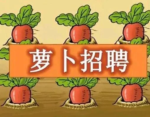 烟草局招体育特长生后续！被扒出曾录用舞蹈表演和播音主持专业。