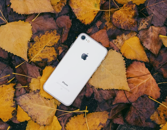 苹果跌落神坛？不，我早看透了一切！