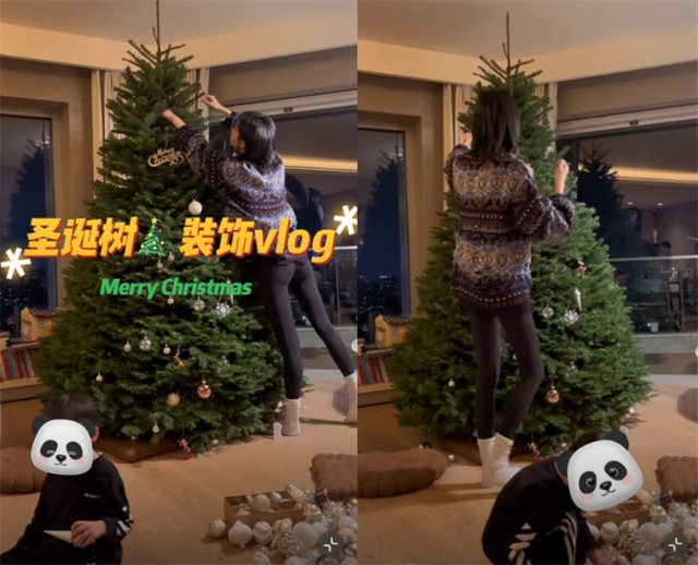 奚梦瑶|奚梦瑶与儿女装扮圣诞树，哥哥帮忙妹妹围观，何猷君记录好有爱