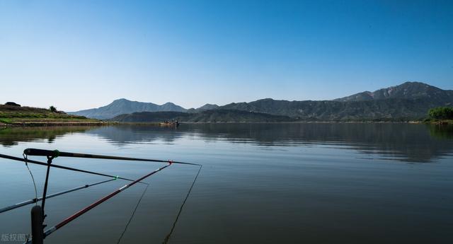 鲤鱼|小满前后钓鲤鱼最佳时间？