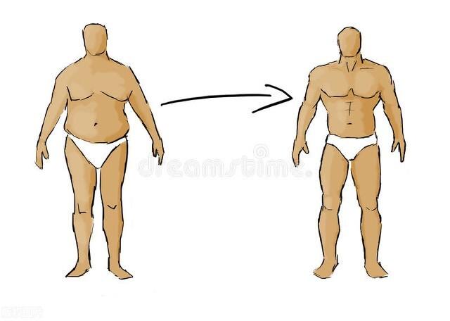体脂率从30%→20%，做到这些，让你每天掉脂肪