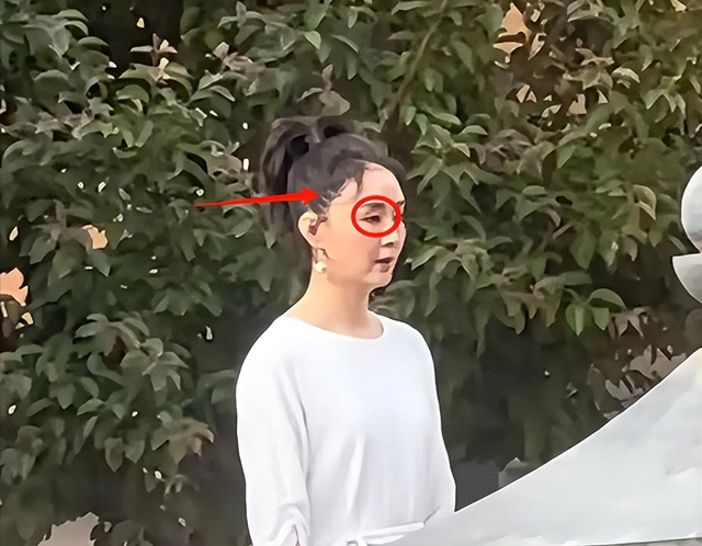 51岁王艳现身廊坊，扎丸子头发际线后移显老态，无滤镜修图好真实