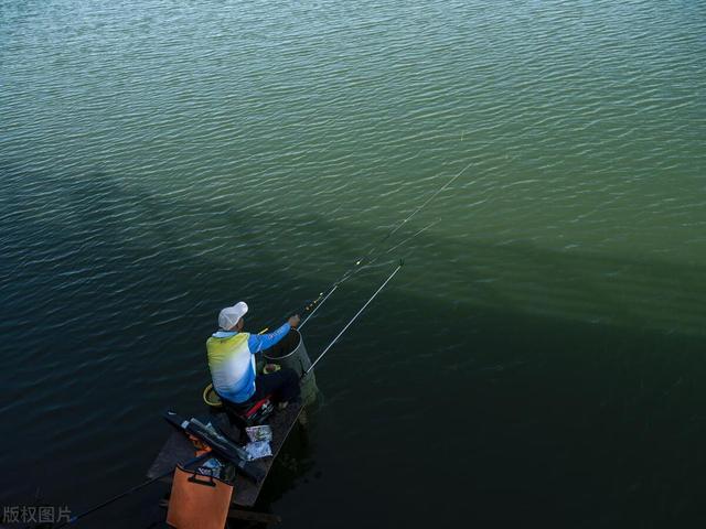 夏季水库钓鲢鳙，这些钓位更容易上大鱼