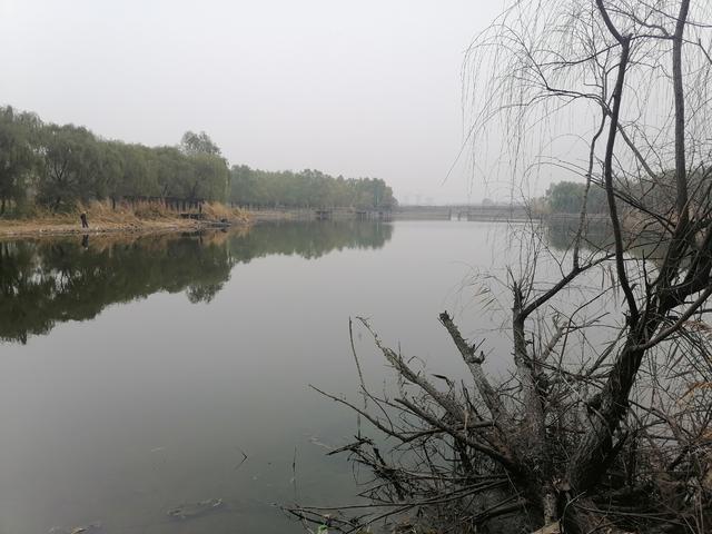 |【试钓报告】牛窝牛窝，越钓越多