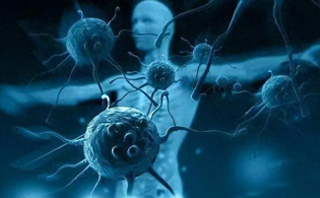 断食3天能重启人体免疫系统？美国研究发布结论，越早知道越好