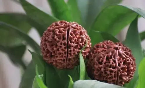 |文玩路上，你被“药”了么？