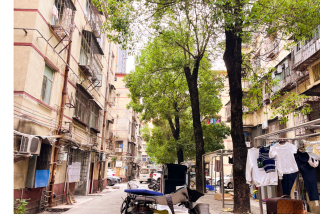 深圳市|失落深二代：我和多数深漂一样“我不愿意冒险，这是二代的通病