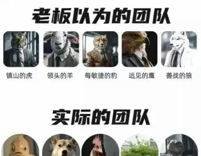 职场政治、办公室文化，你要玩得转一点！