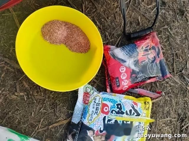 饵料|初春钓鱼，有你相伴