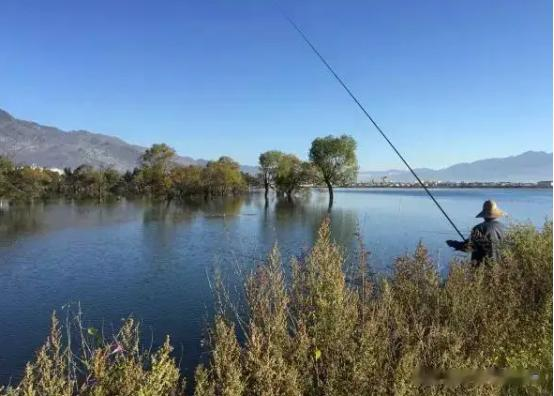 |夏季钓鱼，“5钓5不钓”，新手连竿不是梦，鱼篓不愁不满