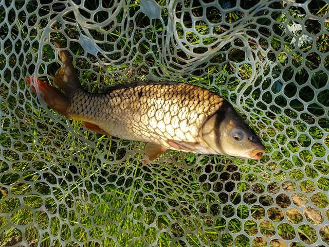 野钓调试浮漂的另类解读，新钓友请进老钓友绕行