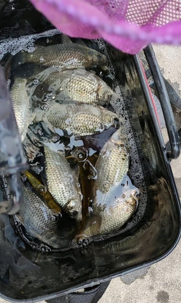 鲫鱼|浅谈冬季野钓风浪天，选钓位有讲究，调漂需留意