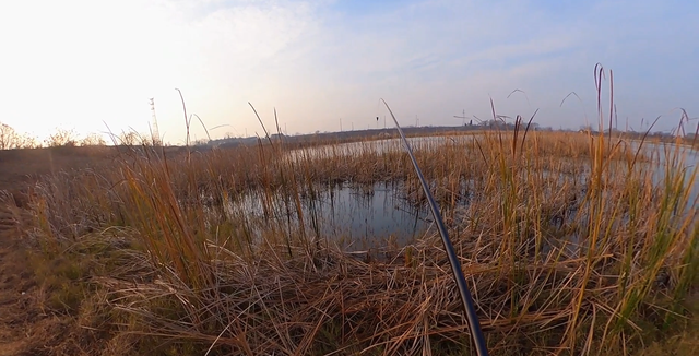 饵料|春季钓鲫鱼，选位有技巧，放弃深水钓浅水或许有大惊喜