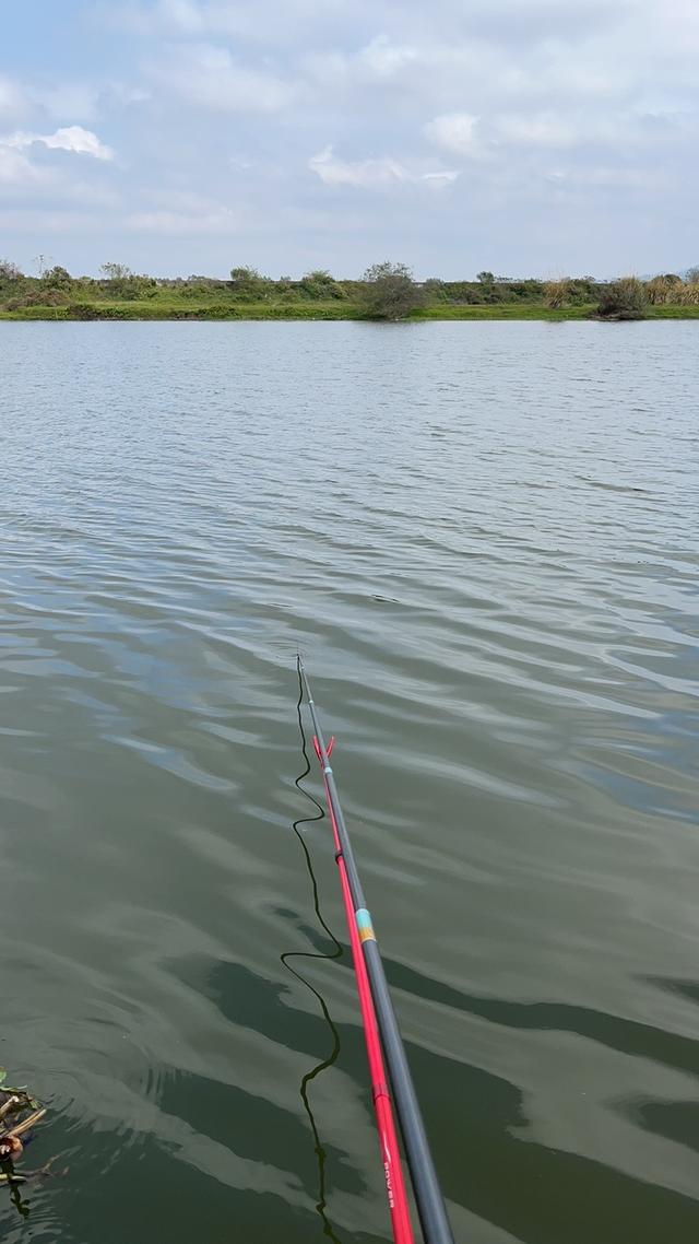 |【无双鲤东丽线组】首测，成品线组质量过硬