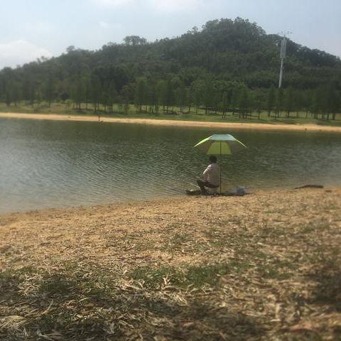 |钓鱼其实并不难