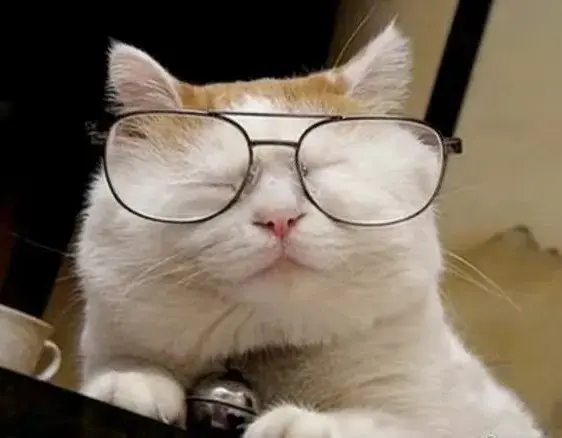 谷子，量子， 还有什么子？