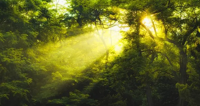 何晴去世 “孙悟空”“猪八戒”等悼念