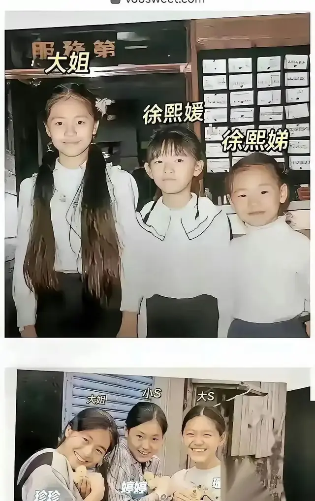 作家陈岚忍不了！大S一块表几十万，质问小S办豪宅派对是何居心？