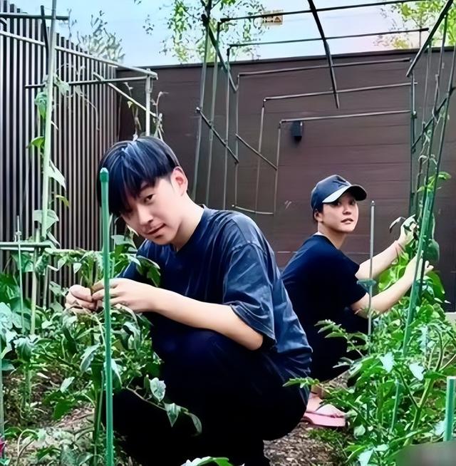 郝蕾在北京大别墅院子种菜，12岁儿子出镜，已经开始长点胡须了