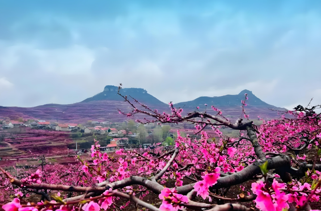 2首诗均叫《清明》，一首七绝，一首七律，我敢打赌你肯定没读过