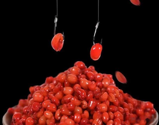 盛夏小鱼成群闹窝，打窝用什么窝料更好呢？这窝料一举三得