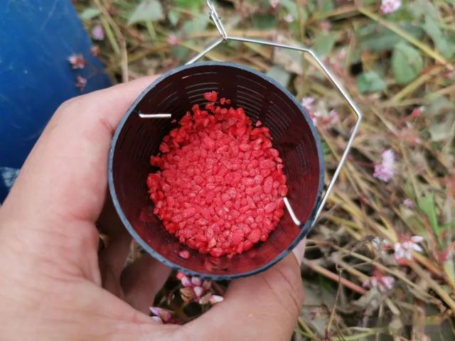 |玩传统钓一定要懂的补窝技巧，掌握以后你的鱼获翻一番！