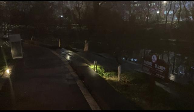 鲫鱼|【钓鱼之家虾粉】诱鱼和留鱼效果的效果果然不是吹的