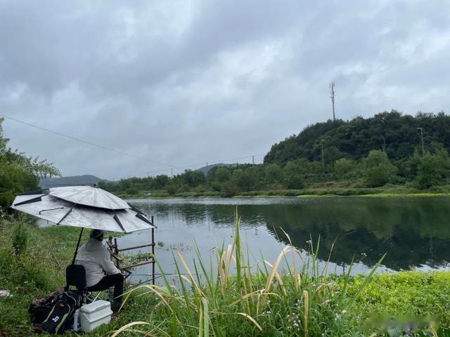 鲫鱼|你知道冬钓鲫鱼的最佳时间段吗？这几条信息很重要，干货分享