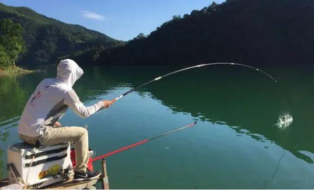 饵料|盛夏野钓别人连竿自己没口？饵料选择是关键，大师的秘密就在此