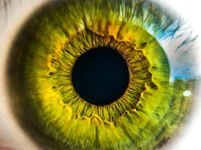 研究发现反复的眼压升高会加速眼睛的老化