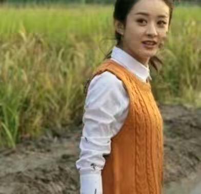 赵丽颖|明星回家乡是什么样子的？最后一位不忘耍大牌！