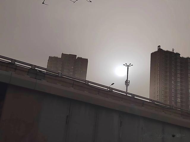 鲫鱼|钓鱼日记——2023年4月11日（巩华城夜钓）