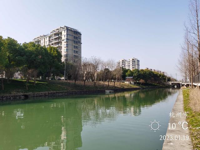 鲤鱼|新年作钓小河边，暖阳鲫鲤来报到