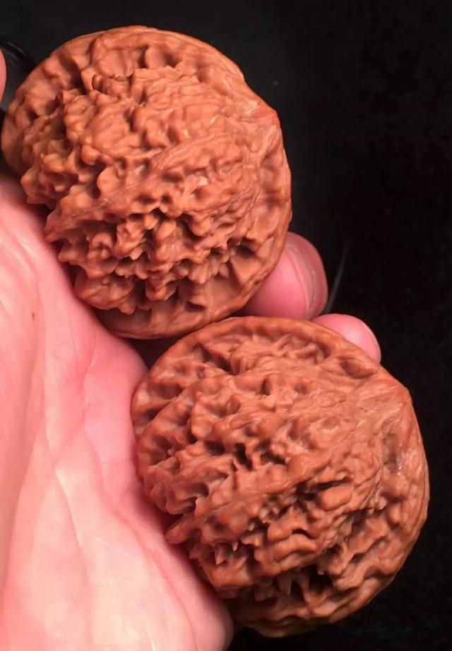 文玩核桃|送礼指南-适合送长辈的文玩核桃