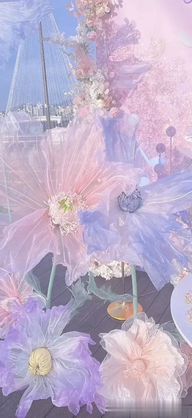 拼尽全力，绽放出人生的精彩