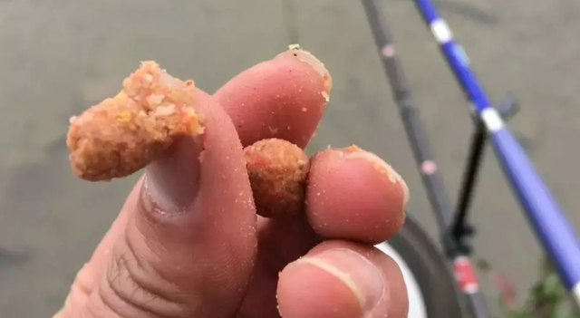 饵料|用商品饵冬钓只能用拉饵？这种情况下搓饵效果更好
