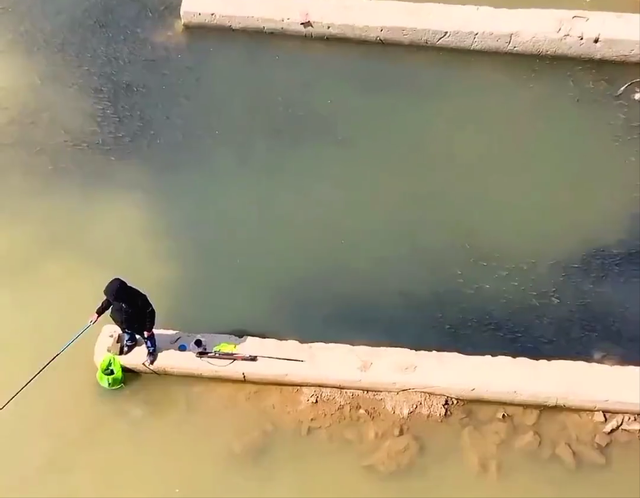 |真钓鱼人？广东男子河边钓鱼走红，身边都是鱼群，却向远处抛竿