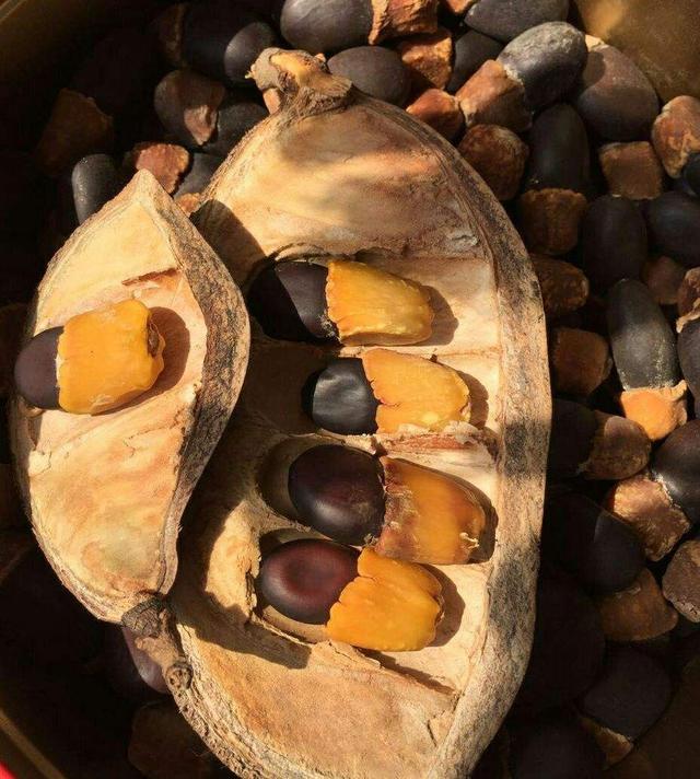 雕刻|曾经被誉为“国礼”的文玩，如今却鲜为人知，你知道是什么吗？