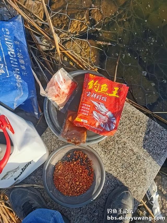 鲫鱼|气温回升杂鱼闹，钓鱼王奶香板鲫爆盆