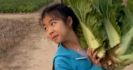 汪峰带9岁女儿挖地瓜，醒醒和爸爸抢铁锹，扛着白菜，力气好大