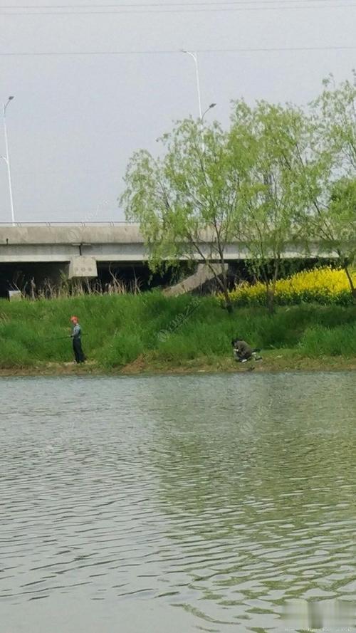 饵料|浅谈仲春野钓天气，好天气反而渔获差，这种时机别错过