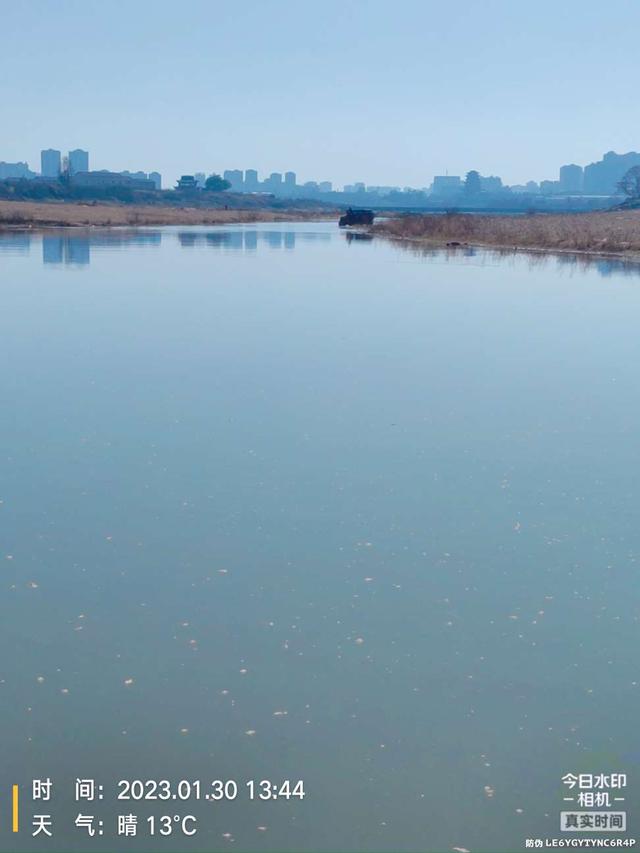 |带娃钓鱼两不误，与娃共度美妙时光！