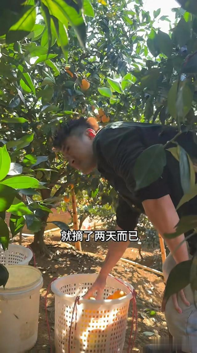 前TVB小生男星晒成像黑炭 不再拍剧亲力亲为搬橙卖获赞誉