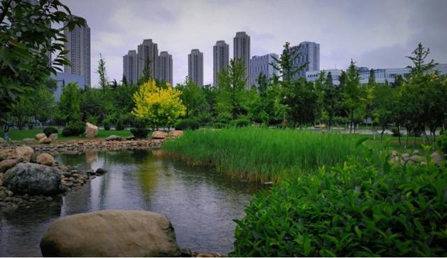许多|中国“干净”的6座城市，环境优美空气好，适合退休后养老旅游
