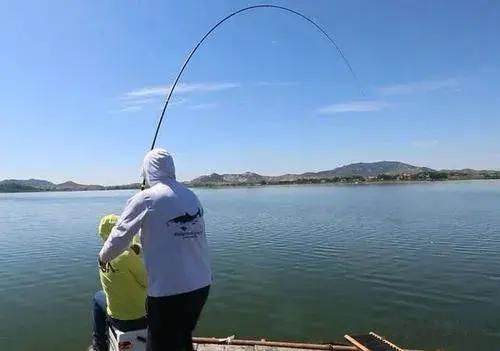 许多|钓三种常见大鱼时遛鱼难度对比，分析透彻，一针见血