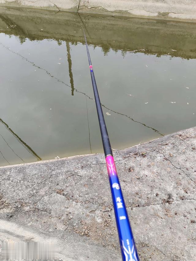 饵料|小河沟里钓出黑坑的感觉，倍儿爽