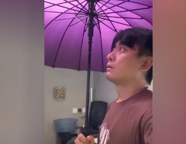 被上海暴雨控住的家：陈龙在家“打伞避雨”，陈赫家像“水帘洞”