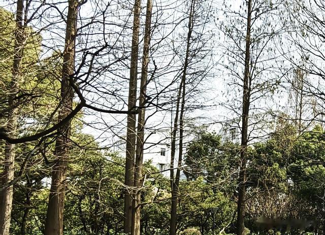 人在职场：只要有能力，风格崩挑剔